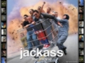 jackass