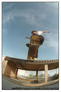 iN TO THE SKATE